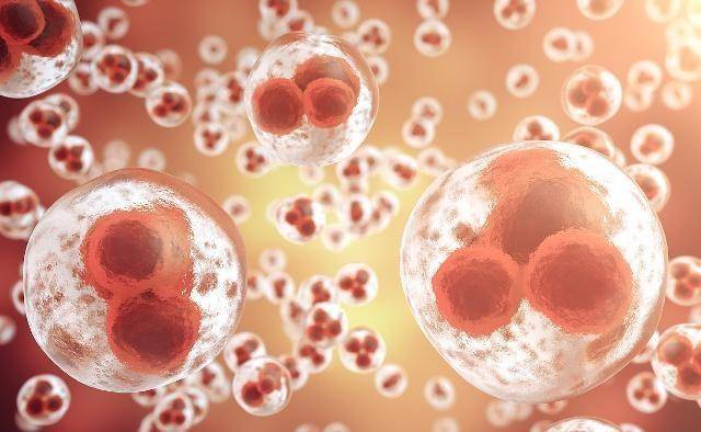 皮疹用什么药物 21ea7848c2c5498d94500b2ccd249c17.jpeg