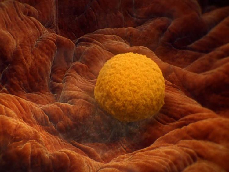 怀孕早期有什么表现?出现以下三种症状,很可能