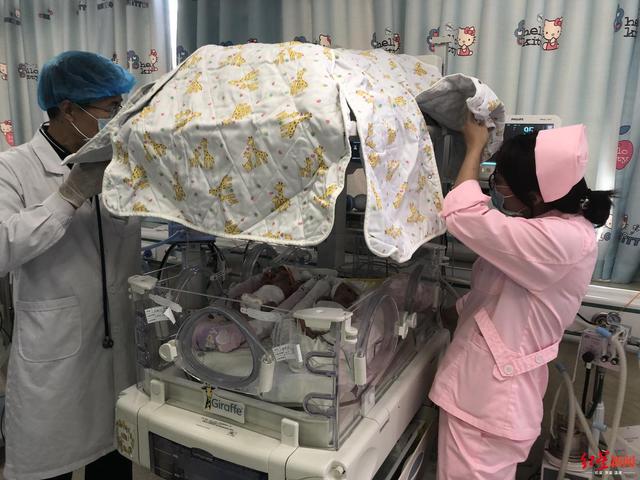                     早产龙凤胎只有成人巴掌大 连下9道病危通知书被成功救活