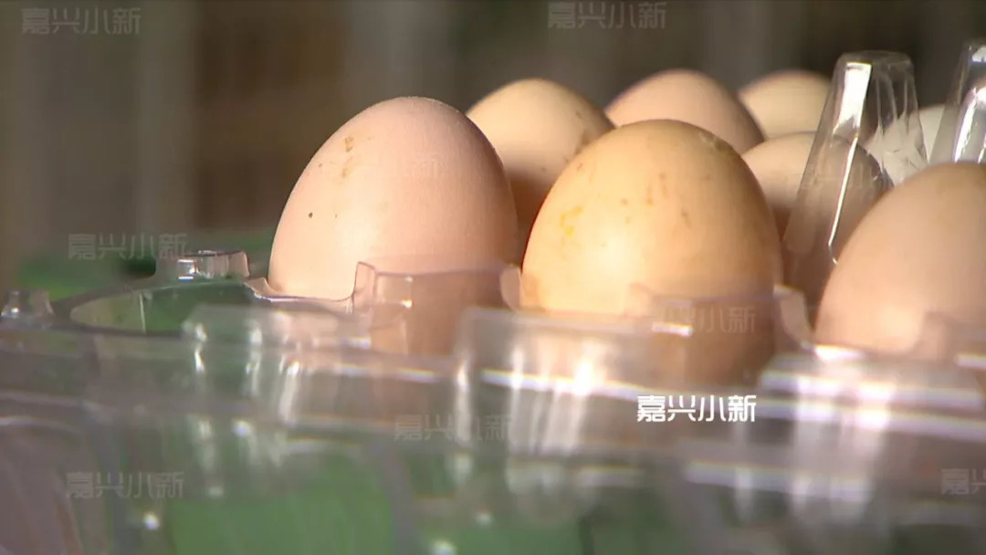 
嘉兴女大学生新丰乡下养鸡：开公司做到龙头企业



