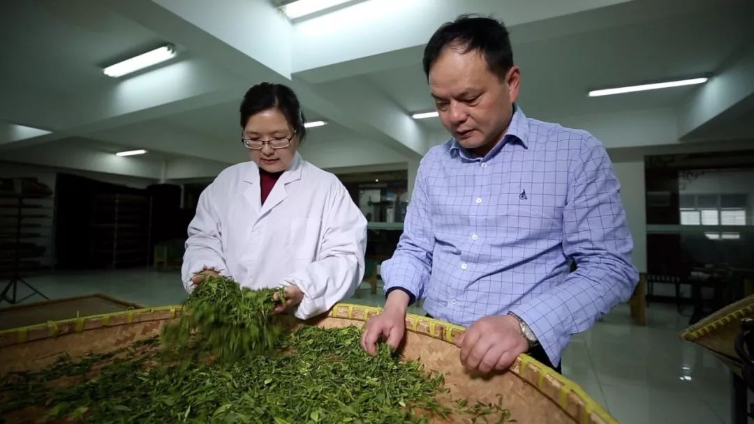 茶 让南京的雨花茶走进千家万户 如今 陈盛峰成为
