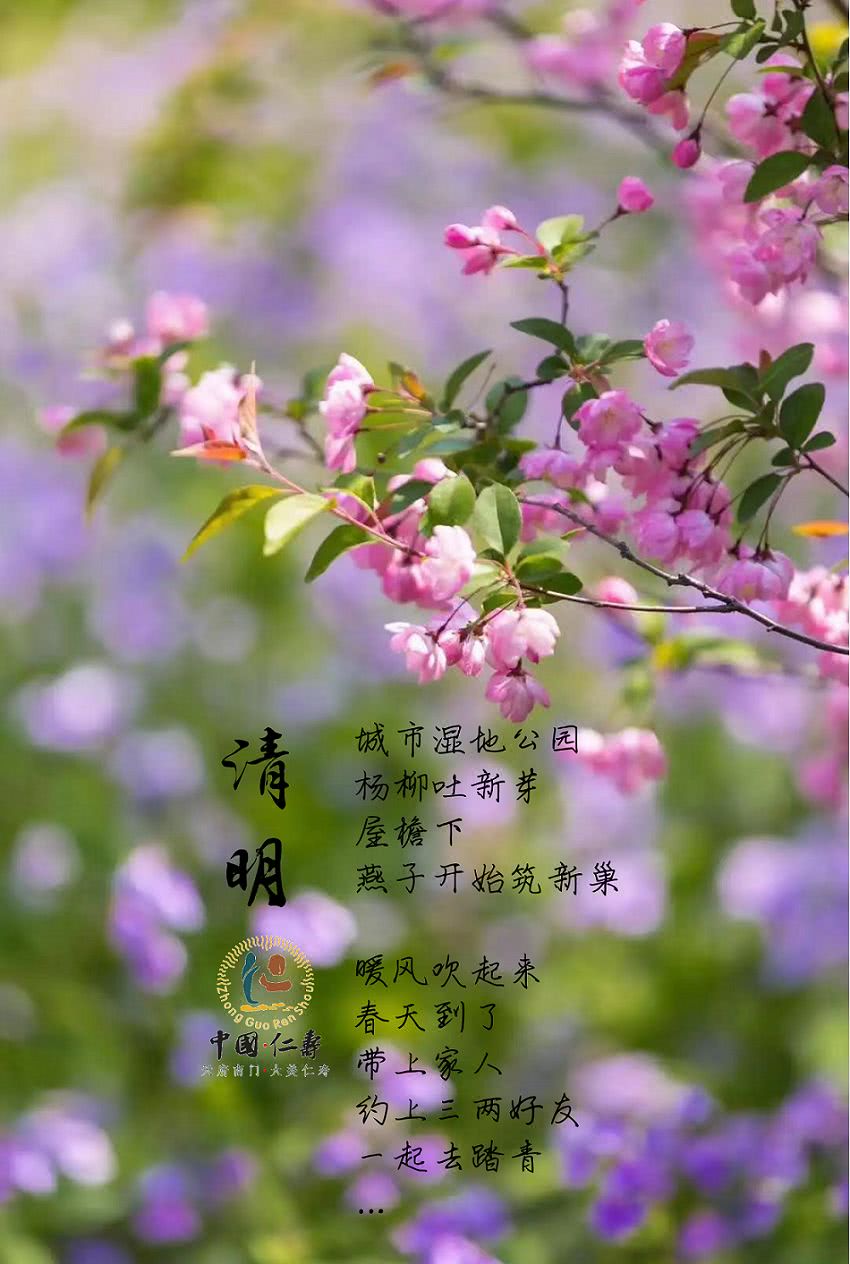 清明去哪?仁寿竟有这么多好耍地,最全攻略请收好! 亿万先生007手机娱乐