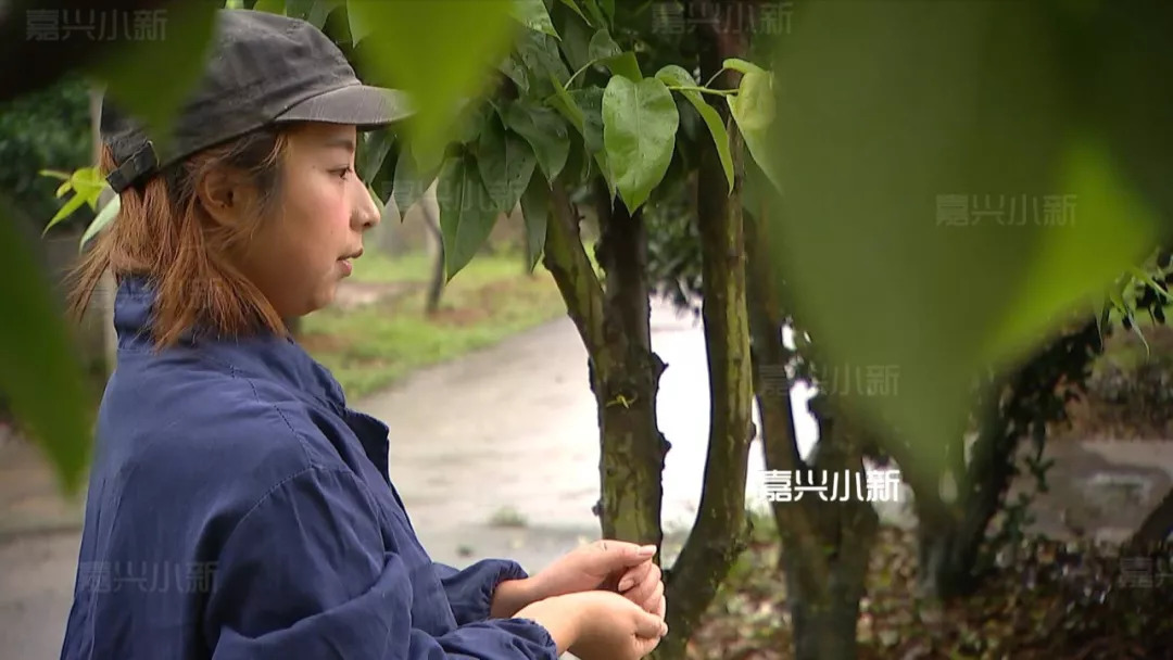 
嘉兴女大学生新丰乡下养鸡：开公司做到龙头企业


