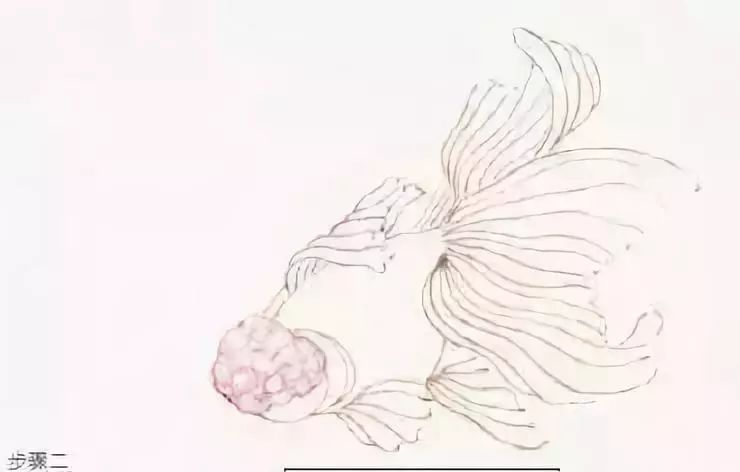 画鱼的方法视频 715f0cbe93ab4136be6e04cf0aeb19da.jpeg