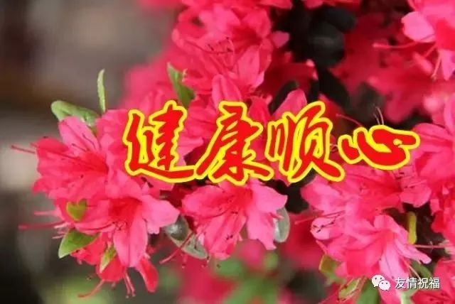 早安,今天5月4日,世界朋友日,不管你身在何方,收到这份祝福,你就是最