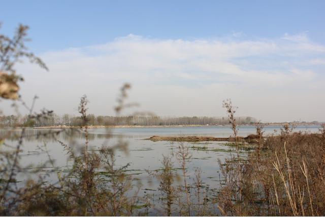 中牟雁鸣湖2a级生态风景区