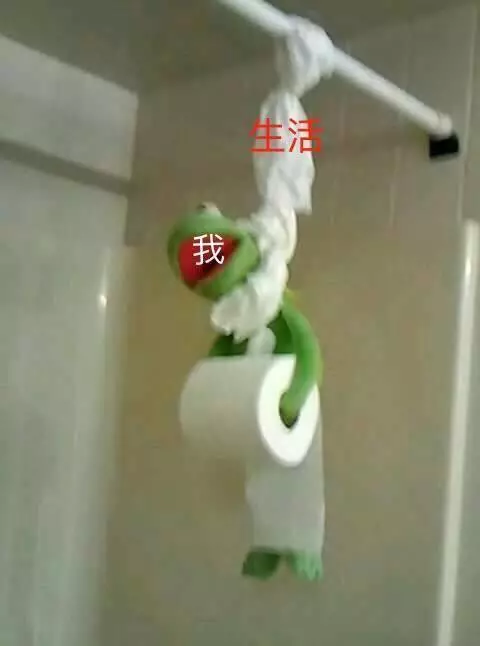
来自一枚文科留学生的学业生涯独白


