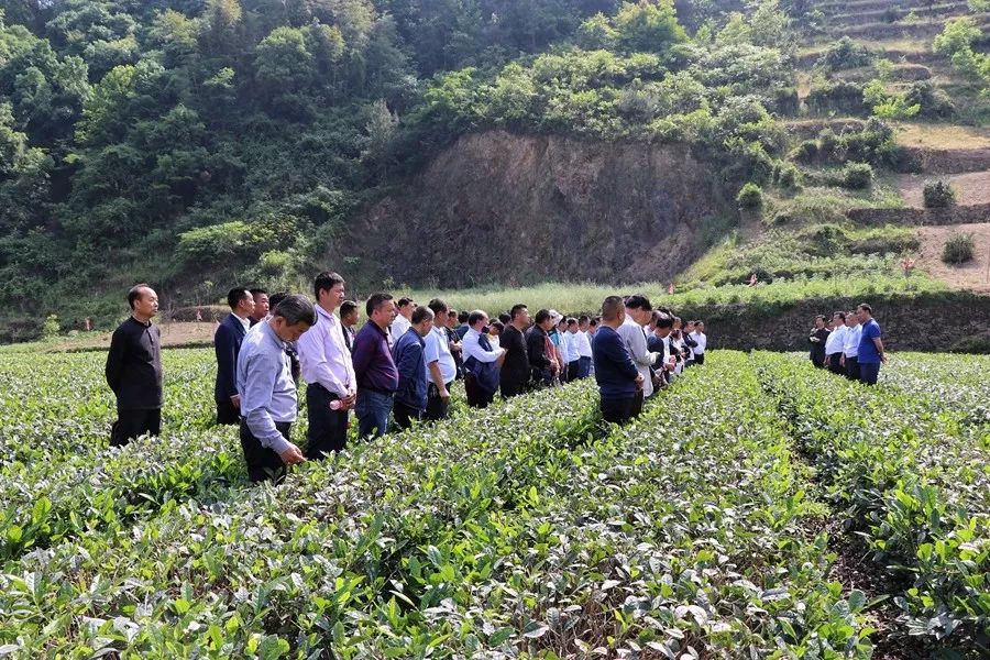 竹园多少人口_青川县竹园镇图片(2)