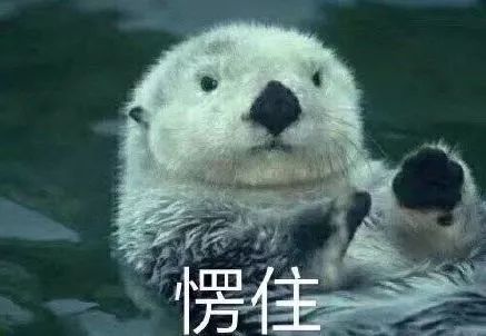 吃饭请再等7974桌…喝奶茶、上厕所都在排! pt老虎机网址大全