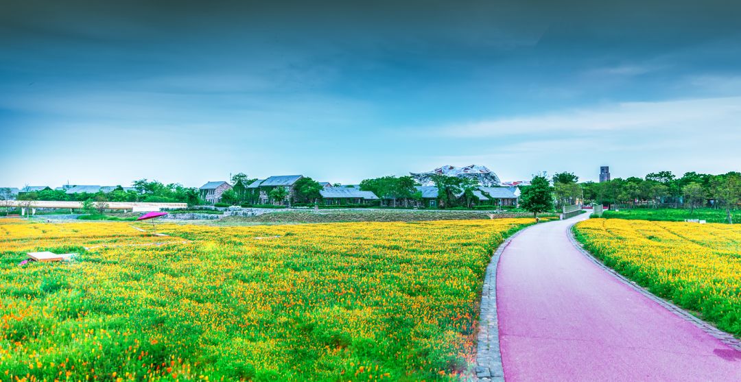 原乡度假新体验,错峰赏花正当时!_花海