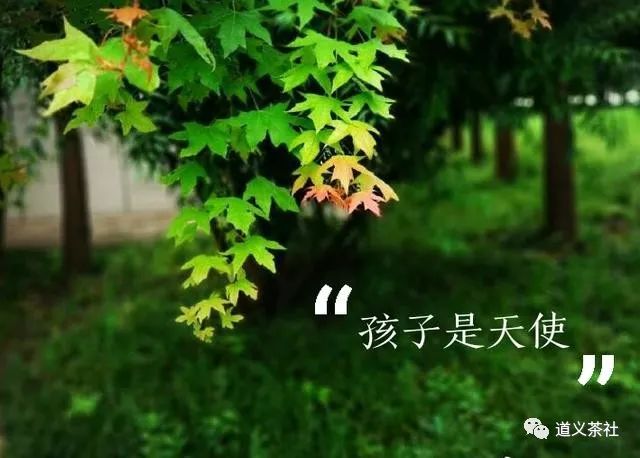 如何正确理解"成长"二字——《德行天下》家庭教育讲堂第113期