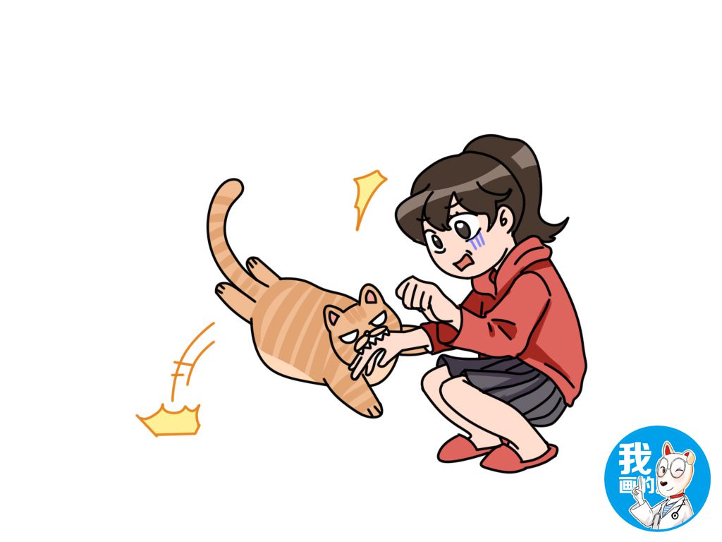 辟谣:猫咬人是因为调皮?从女同事身上竟破了一