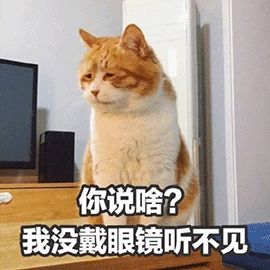ae782322960847b7b1576b6b01e767c2.jpeg
