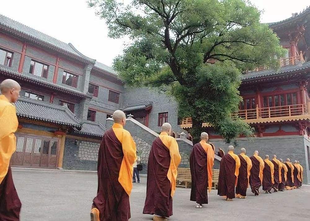 
原创
他是北大保送生，却放弃麻省理工，选择出家为僧，母亲因此大病


