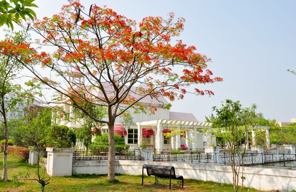 (5月4日青年节快乐~)—广州大学华软软件学院2019年上