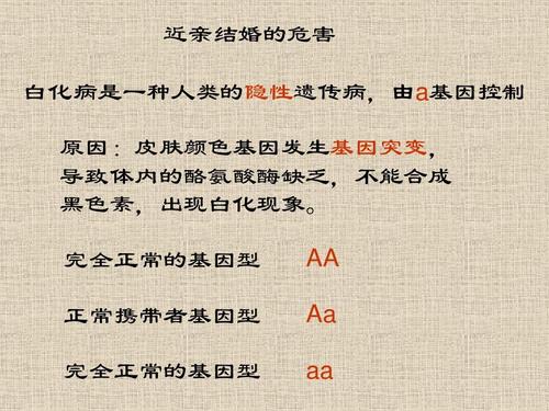 什么叫整体思想 b1978eede6fe40b8bc13f07116cca2a6.jpeg