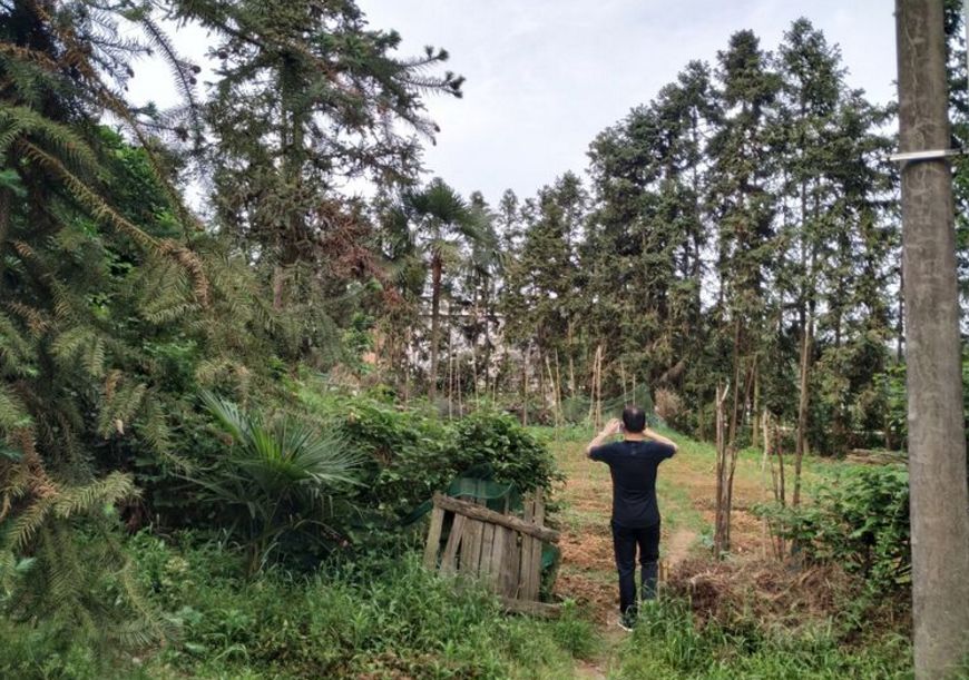 赤山镇常住总人口_剑阁县元山镇常住人口(2)