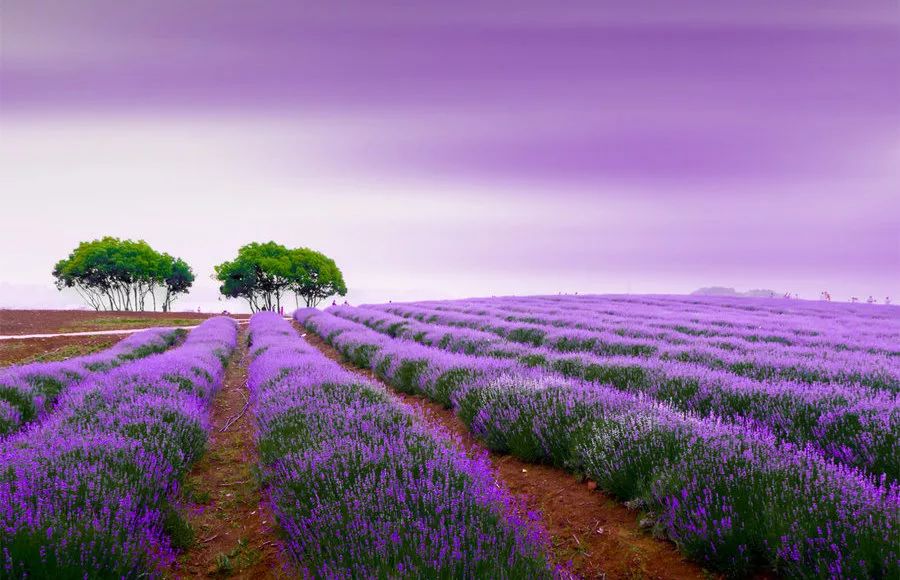 聆听:一曲萨克斯《一路上有你》感谢我的每位朋友!