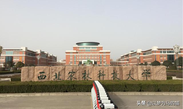 
高考分较低又想读“985大学”，不挑地区可选这5所，相对好考


