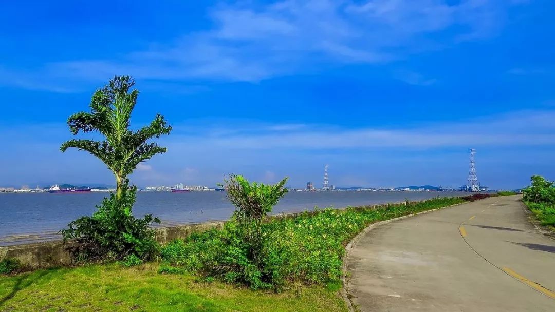 69 海鸥岛