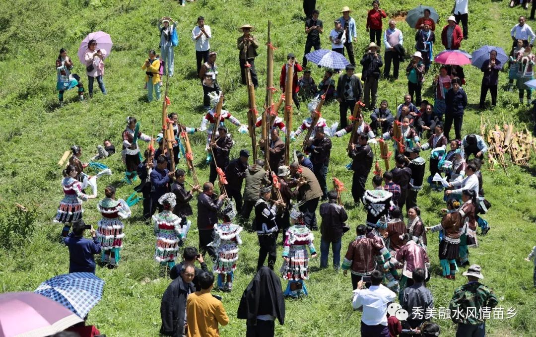 苗族群众在山上吹起芦笙跳起芦笙舞