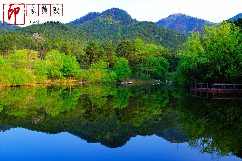 黄陂野村谷,润湿油油的绿