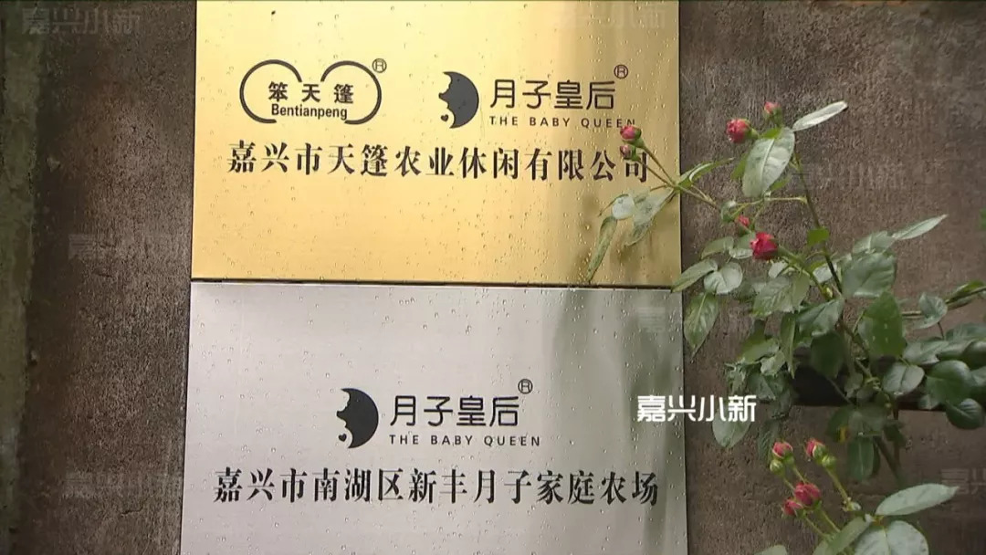 
嘉兴女大学生新丰乡下养鸡：开公司做到龙头企业


