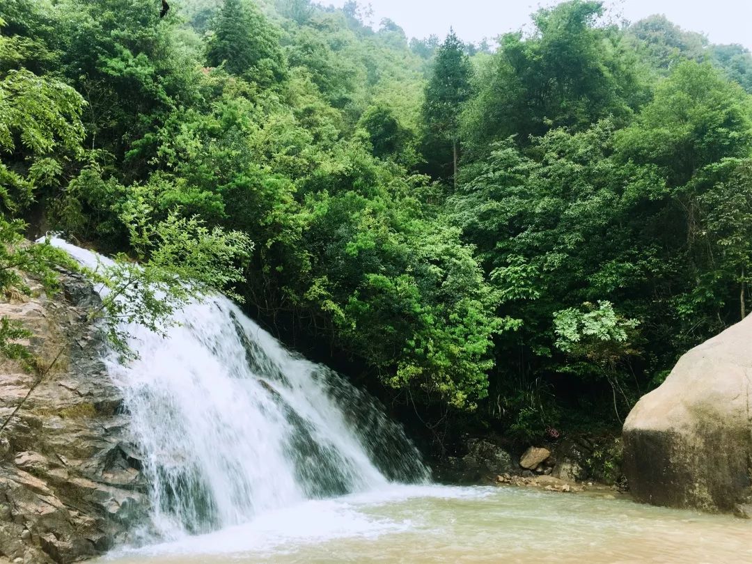 赣江源头 客家福地 | 《美丽中华行》走进江西石