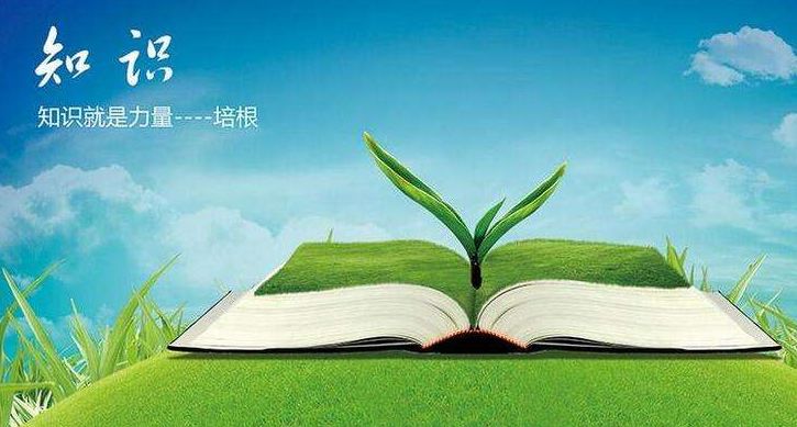 北京家长有福了!一大块心病有着落了!
北京家长有福了!一大块心病有着落了!