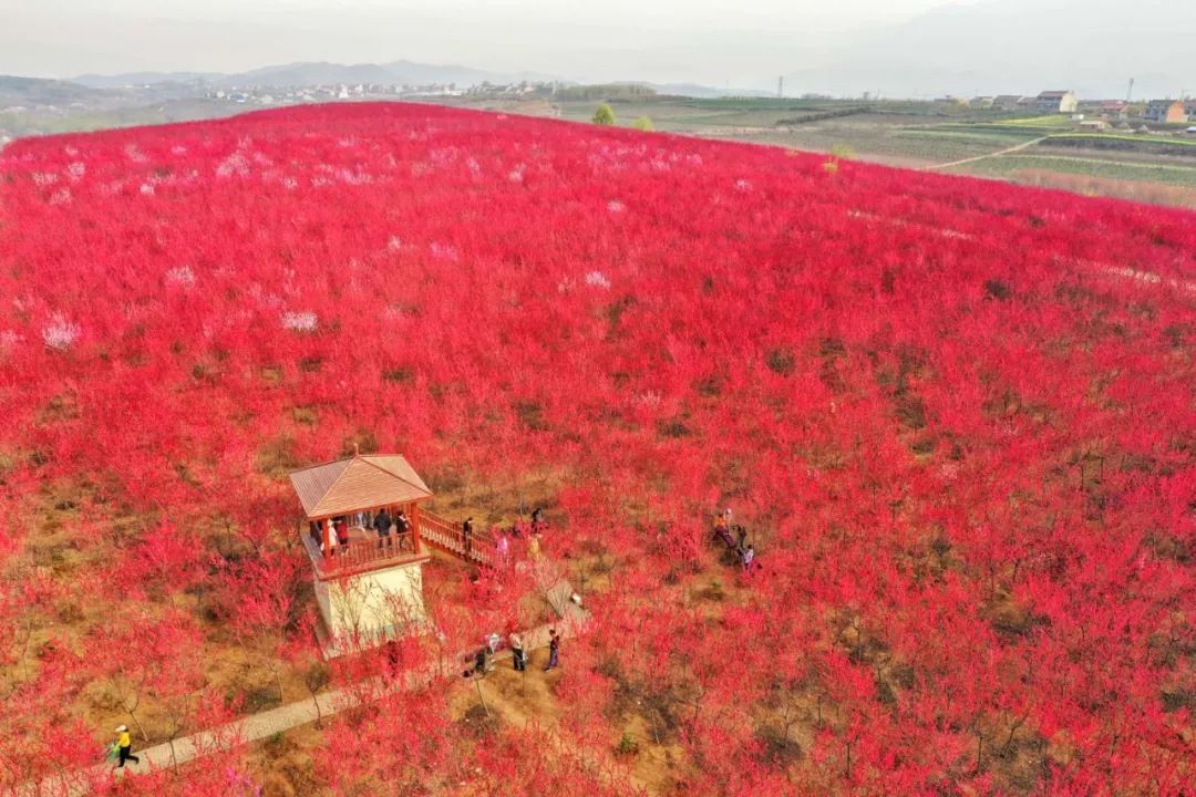 蓝田鹿走沟农业示范园