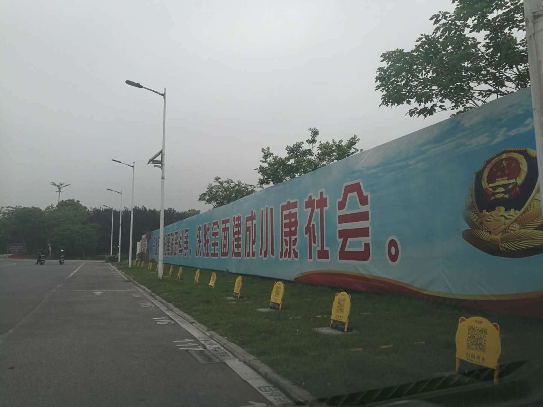 嘉兴有了草坪停车位,你试过吗? 888国际真人娱乐