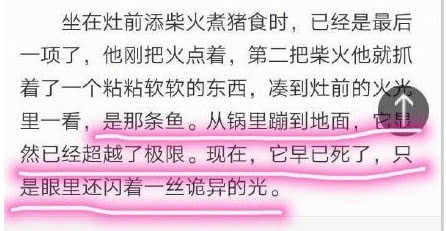 
原创
高校食堂无线网，密码要用高数解？看到题目上的字后文科生笑了


