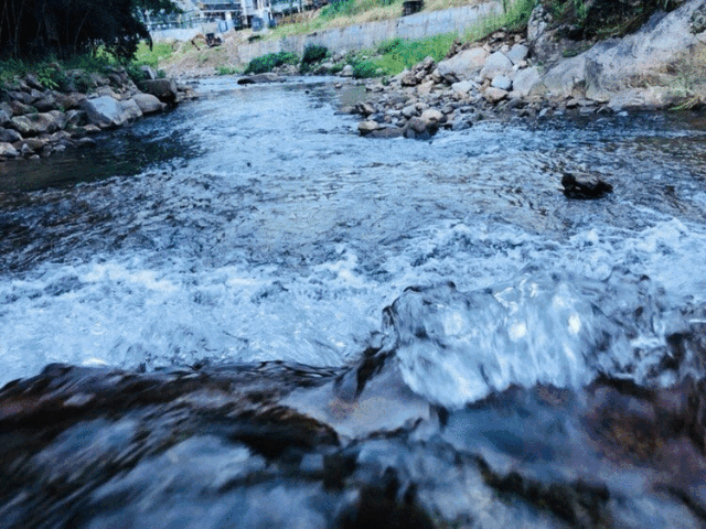 云宿福利 | 溪边小桥流水 住进云和人家