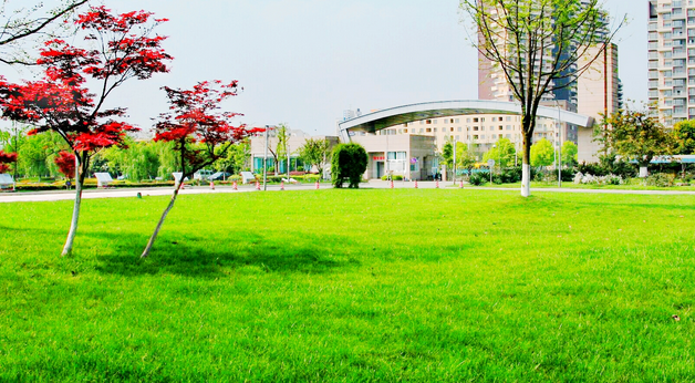 成都七中实验学校高2019届学生成人礼,特别的喝彩!
成都七中实验学校高2019届学生成人礼,特别的喝彩!