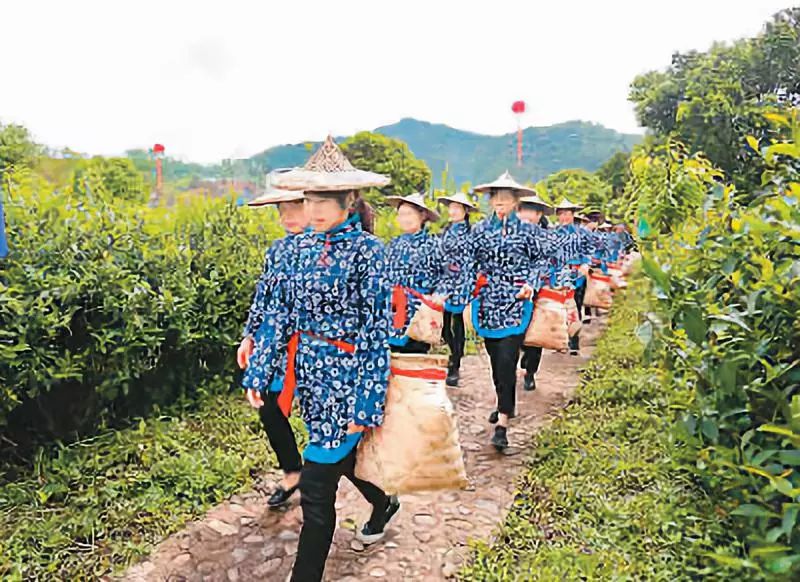 安溪县有多少人口_起底安溪 诈骗之乡 进化史