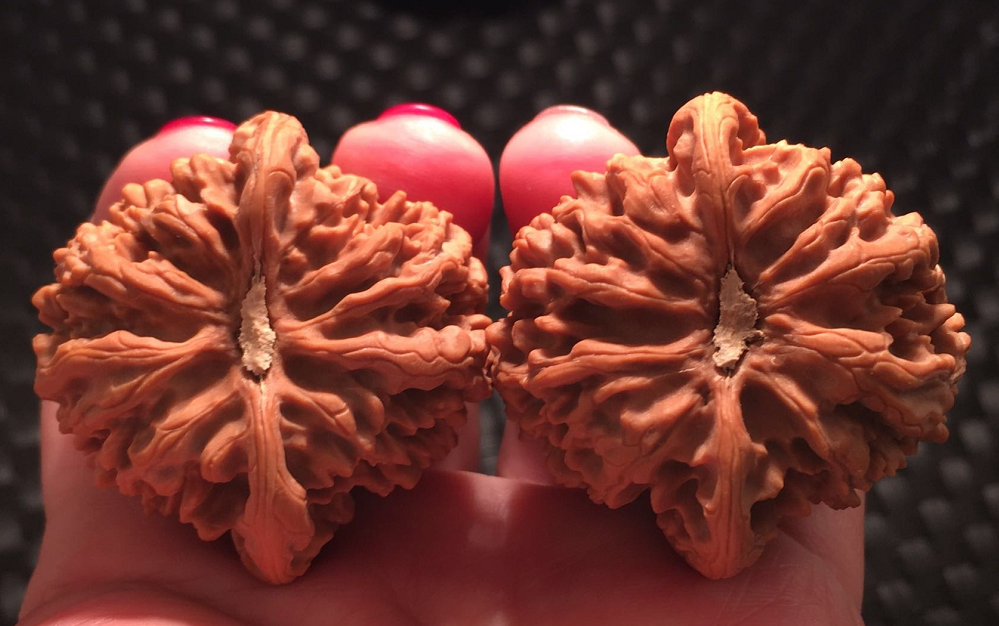 核桃自古就是最传统的文玩艺术品,也被誉为文玩界的掌中玉