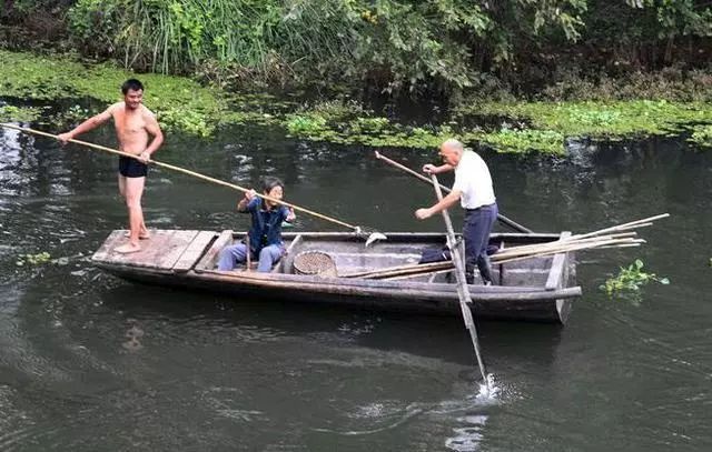                     儿子叉鱼，父母收鱼，好一个养儿防老的真实感人场景