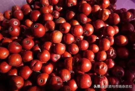 文章配图-5