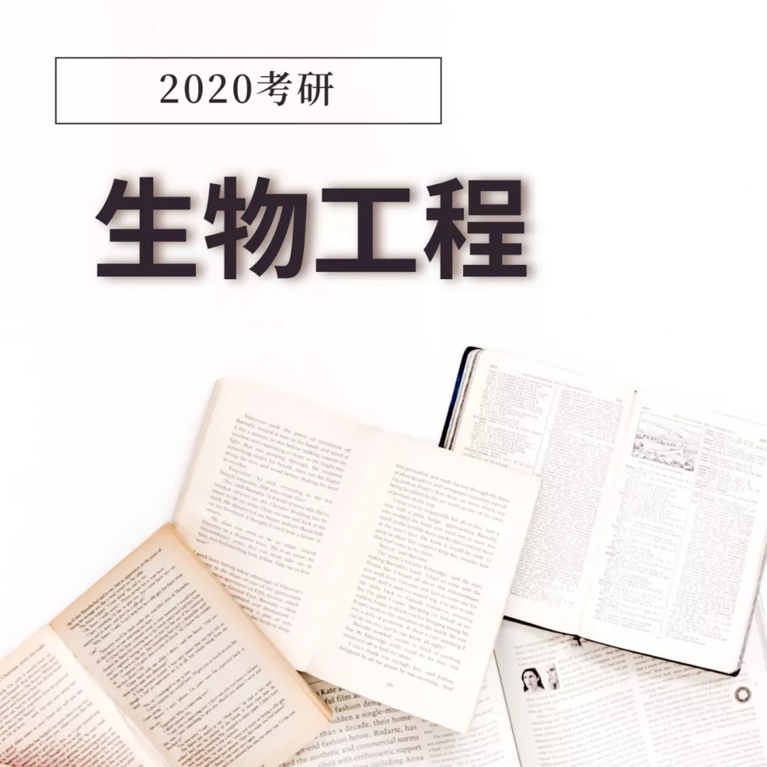 最适合考研的五大专业,本科普通,考研后身价翻倍!
最适合考研的五大专业,本科普通,考研后身价翻倍!