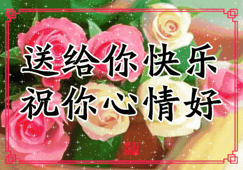2d0a6245a5884178b30858e836c69303.gif