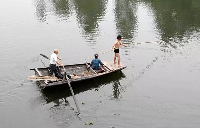                     儿子叉鱼，父母收鱼，好一个养儿防老的真实感人场景