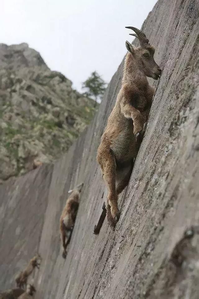 忍不住想要问一句：“重力真的存在吗？”