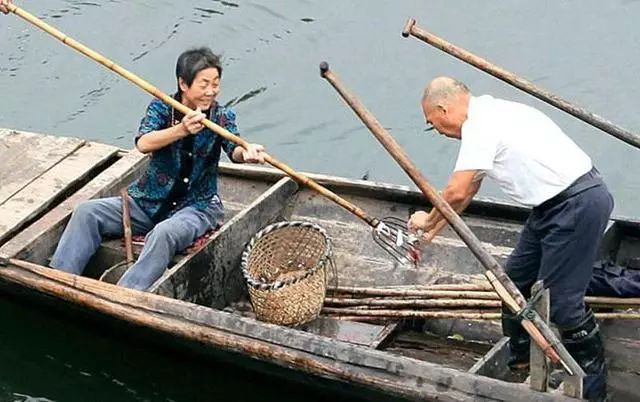                     儿子叉鱼，父母收鱼，好一个养儿防老的真实感人场景