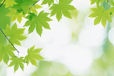 境界人生感悟 3a9582f36e184847a010d76dea85e900.jpg