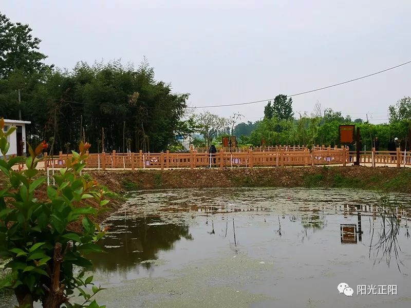 正阳村人口_即墨段村正阳菜馆