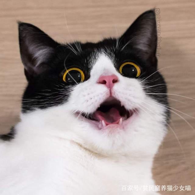 434da437e5db40e28e58f4d40b118f8f.jpeg