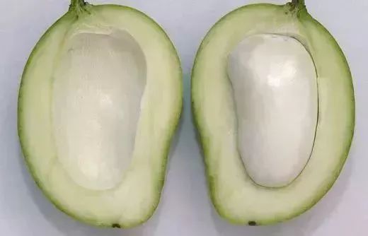 如何正确的剥芒果 443819cb37894203b860c9e996ad124b.jpeg