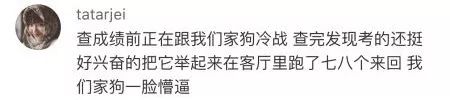 还记得高考出成绩那晚你都做了什么吗?有苦有乐都是珍贵的回忆了!
还记得高考出成绩那晚你都做了什么吗?有苦有乐都是珍贵的回忆了!
