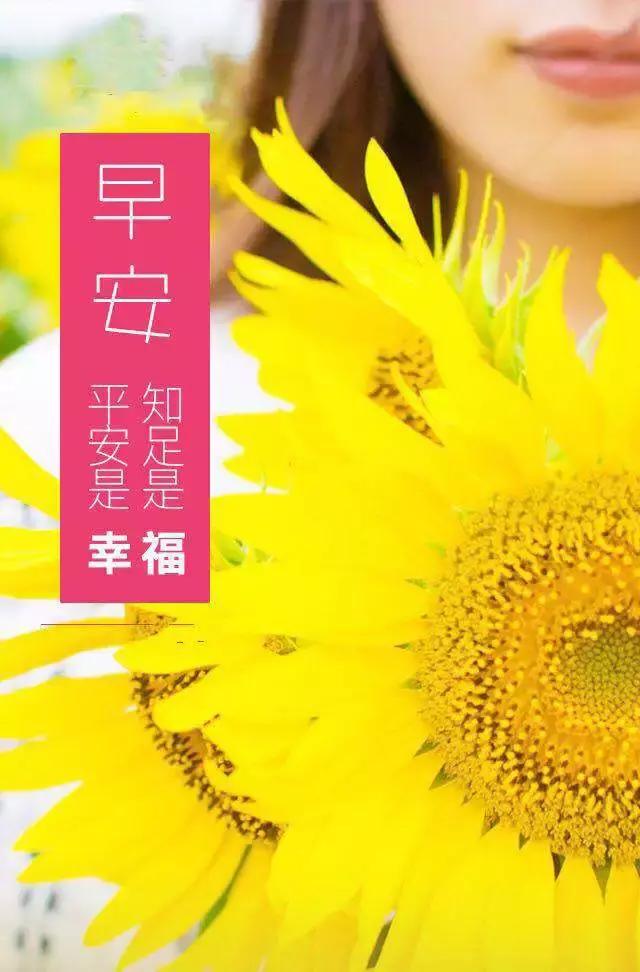 56c8494c64d34db98ba59f0cf75a9bee.jpeg
