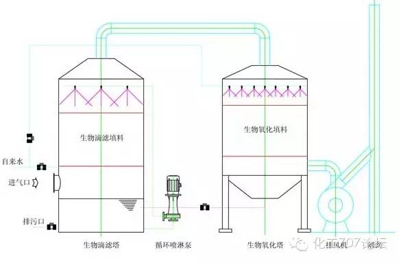 吸收法的原理是什么_什么是牙槽骨吸收(3)